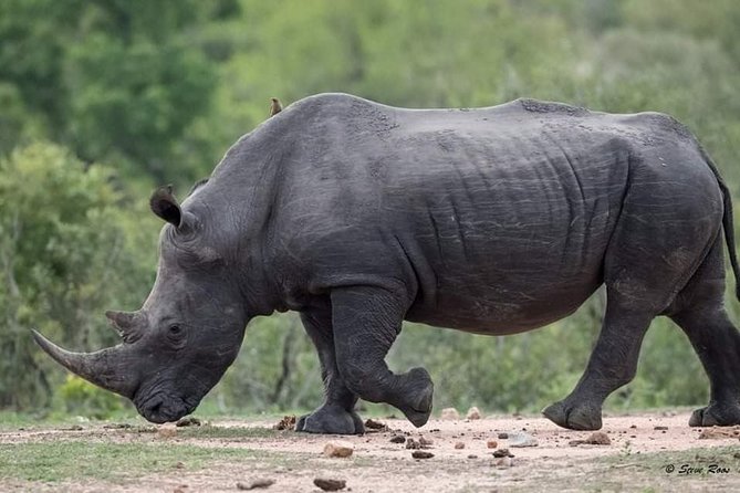 3 Days Camping Safari Tour Tanzania - Exclusions and Considerations