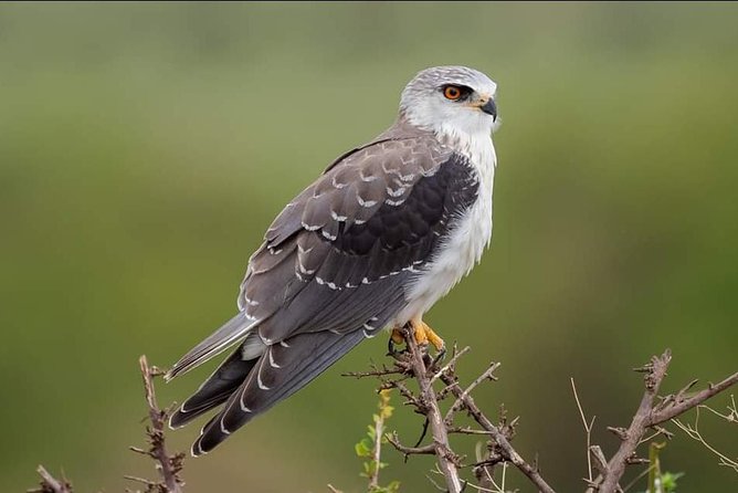 3 Days Camping Safari Tour Tanzania - Customer Reviews and Ratings