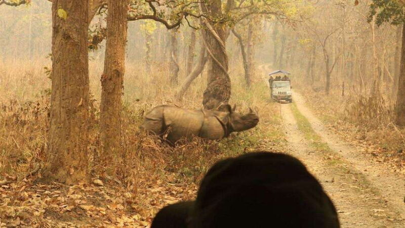 3 Days Chitwan Safari - Introduction