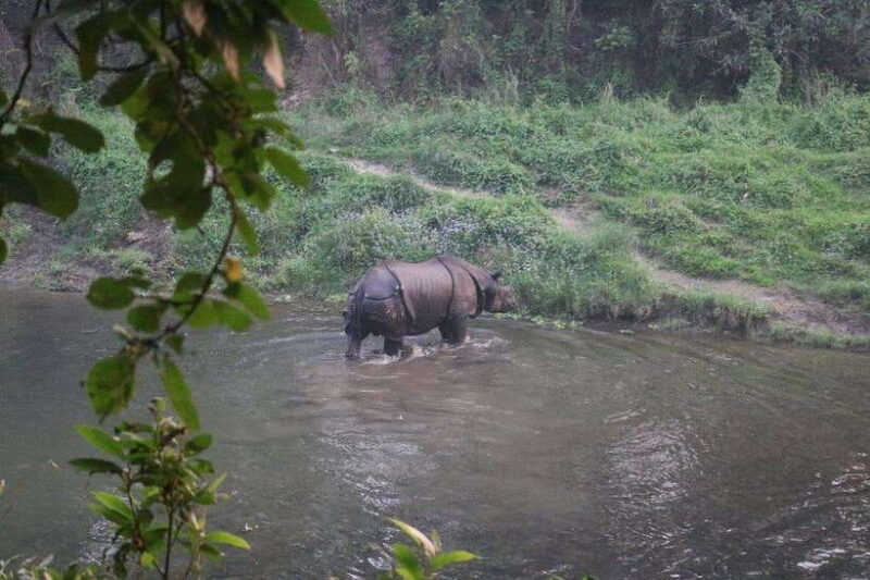 3 Days Chitwan Safari - Key Points