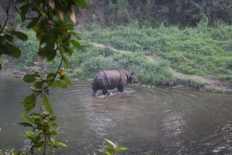 3 Days Chitwan Safari - The Sum Up