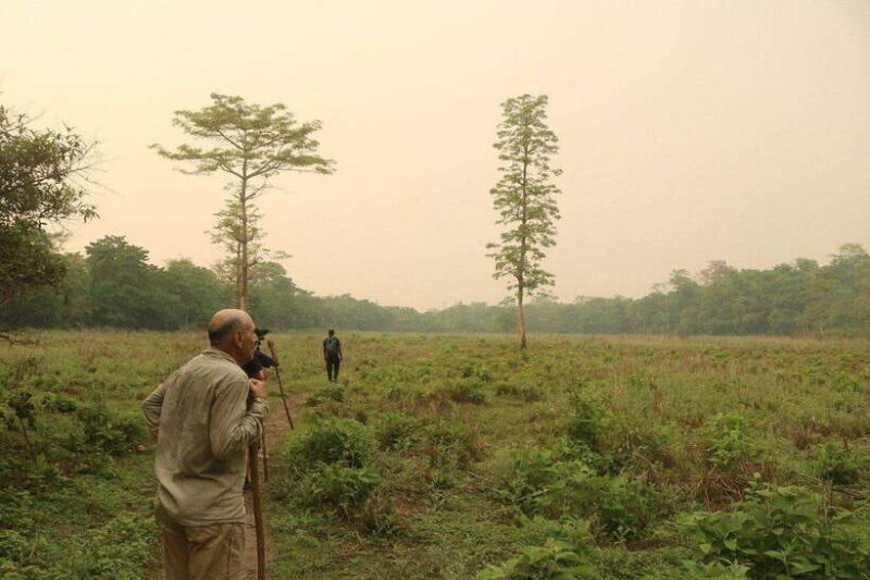 3 Days Chitwan Safari - FAQ