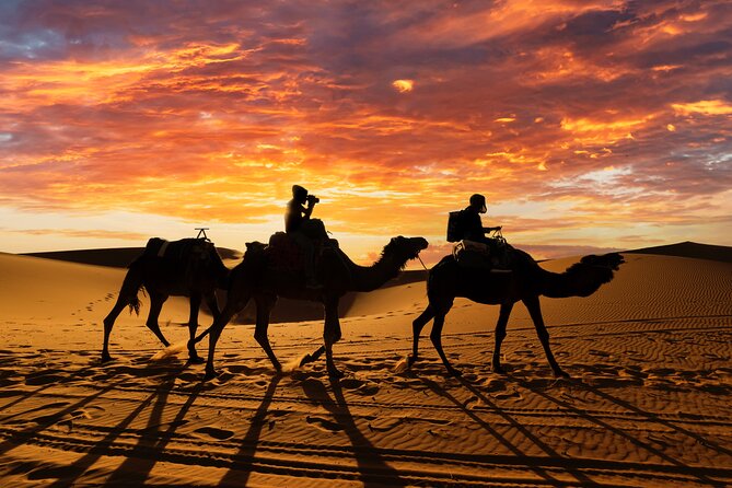 3 Days Desert Tour From Fes to Marrakech via Merzouga - Inclusions