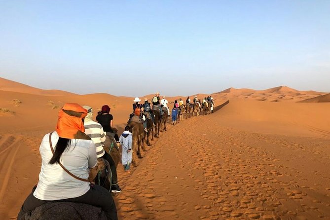 3 Days Desert Tour From Fes to Marrakech via Merzouga - Booking Information