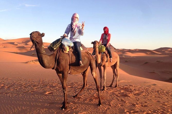 3 Days Desert Tour From Fes to Marrakech via Merzouga - Discovering Todra Gorges and Dades Valley