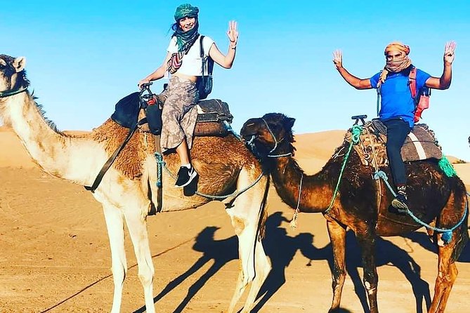 3 Days Desert Tour From Fez to Marrakech via Merzouga - Camel Trekking Experience