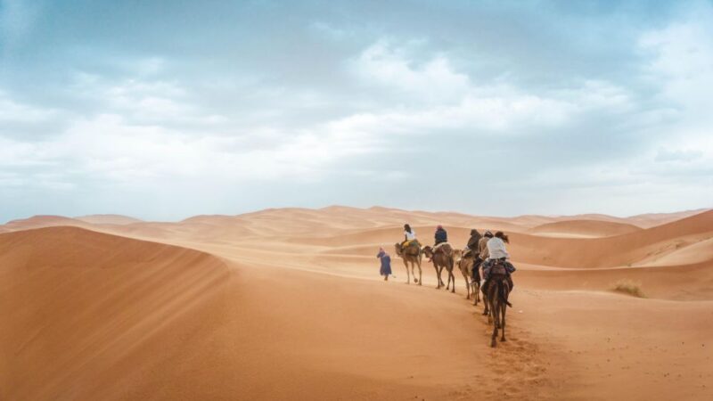 3 Days Desert Tour From Marrakech to Fes With Sandboarding - Included Services