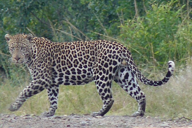 3 Days Durban Safari Tour Package - Pricing and Payment Options