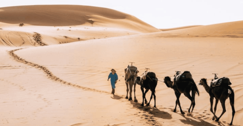 3 Days From Marrakech to Desert Merzouga - Discovering the Enchanting Rose Valley