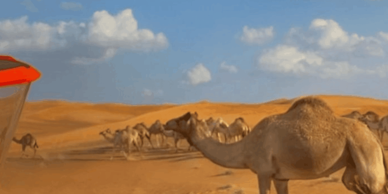 3 Days From Marrakech to Fes By Sahara Desert - Scenic Journey Through High Atlas