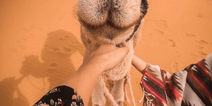 3 Days From Marrakech to Fes By Sahara Desert - Important Information