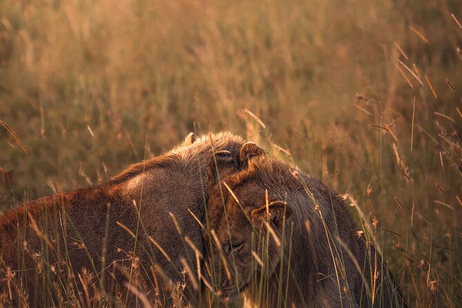 3 Days Group Tour Tarangire, Ngorongoro & Lake Manyara Park - Inclusions and Amenities