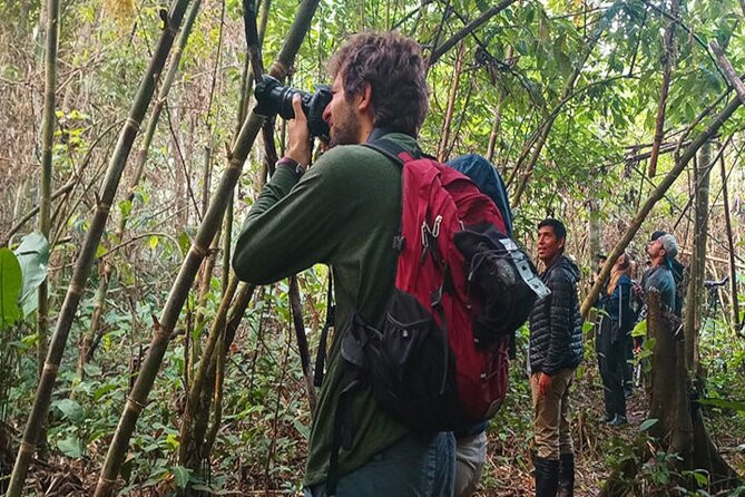 3 Days Guided Manu Jungle Tour From Cusco | Travel Buddies