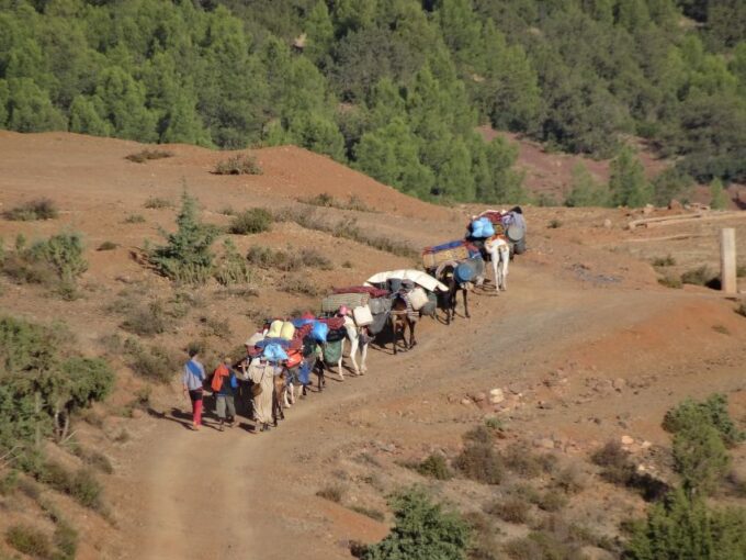 3 Days Hiking in the Atlas Mountains - Participant Requirements