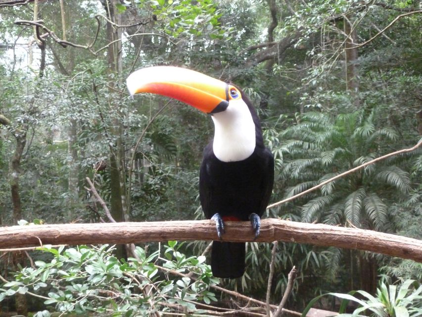 3-days Iguassu Falls Tour - Key Points