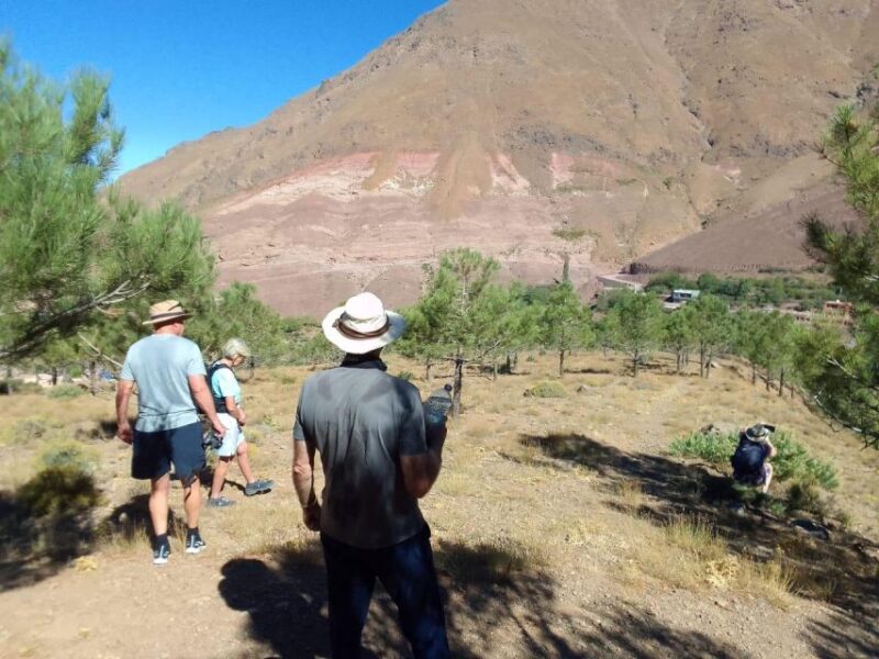 3 Days in Imlil: Discovery of Local Cultural Wealth - Day 3: Tamssoult to Imlil