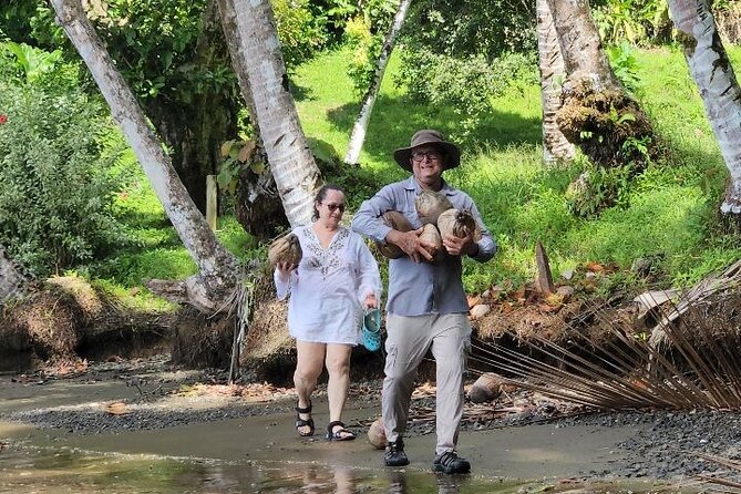 3 Days Kayak & Camping Excursionon in Golfo Dulce - Taking in the Campsite Experience