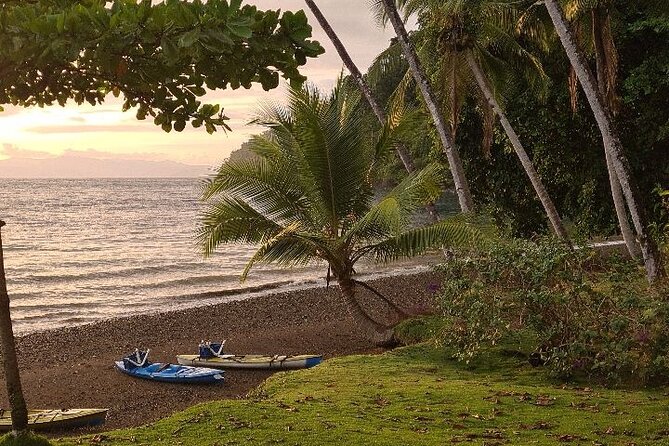 3 Days Kayak & Camping Excursionon in Golfo Dulce - Understanding Weather Contingencies