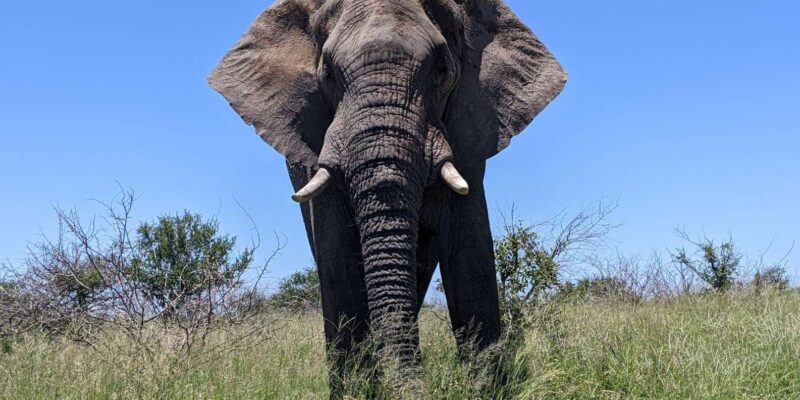 3-Days Kruger Park Safari & Panorama Route - Itinerary Highlights