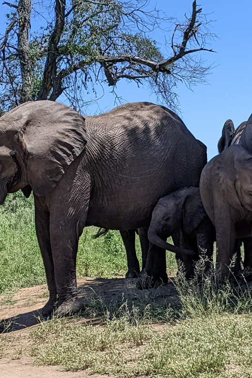 3-Days Kruger Park Safari & Panorama Route - Inclusions