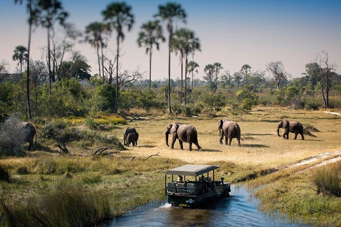 3-Days Lodge Safari in Tarangire, Ngorongoro Crater & Lake Manyara - Discovering Ngorongoro Craters Wonders