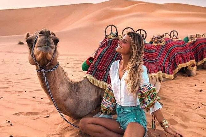 3 Days Luxury Private Desert Tour From Fez to Marrakech - Luxury Accommodations and Meals