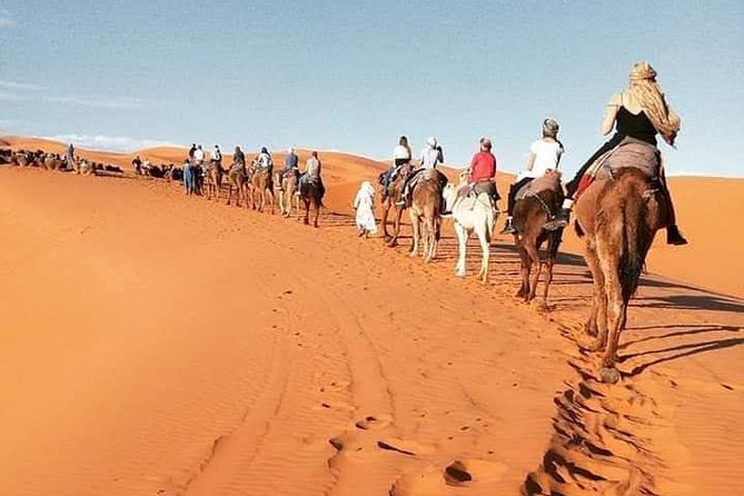 3 Days Luxury Private Desert Tour From Fez to Marrakech - Pricing Information