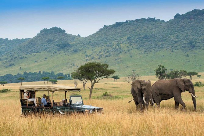3 Days Maasai Mara Luxury Safari - Tips for Travelers