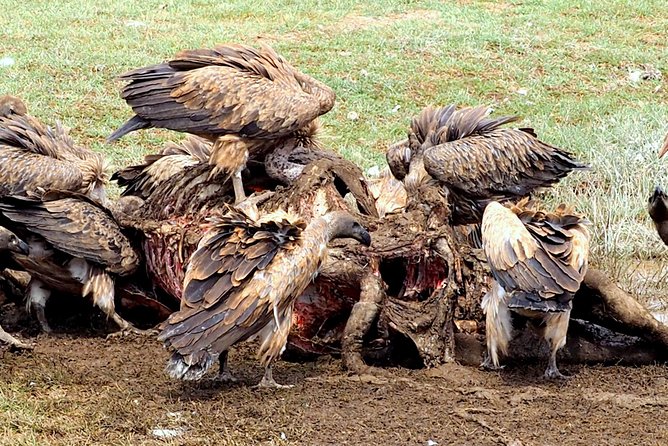 3 Days Masai Mara Camping Safari - Daily Itinerary