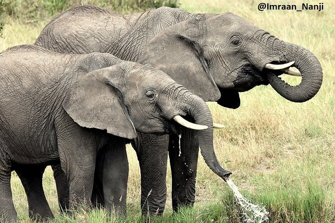 3 Days Masai Mara Camping Safari - Accommodation Details