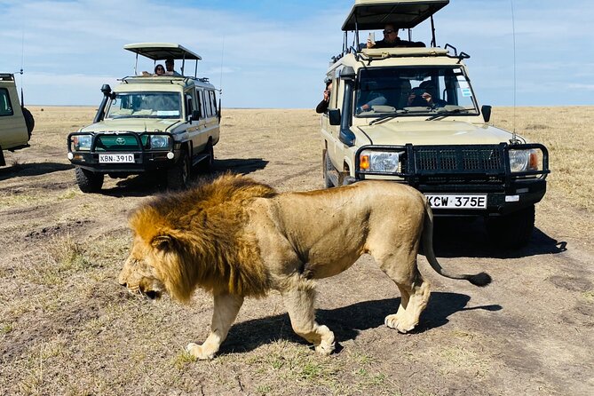 3 Days Masai Mara Jeep Safari - Booking Information