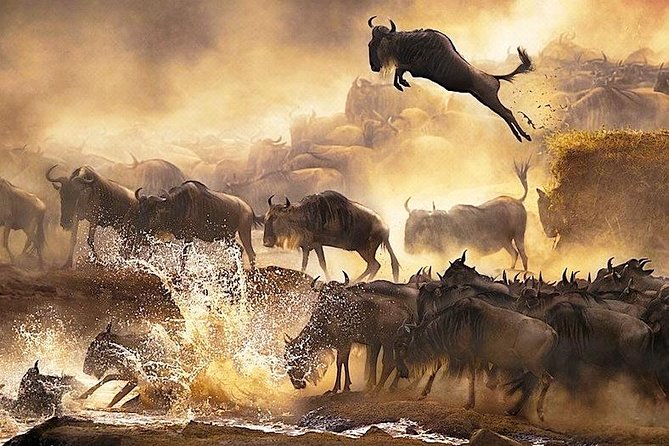 3 Days Masai Mara Private Safari in AA Lodge - Frequently Asked Questions
