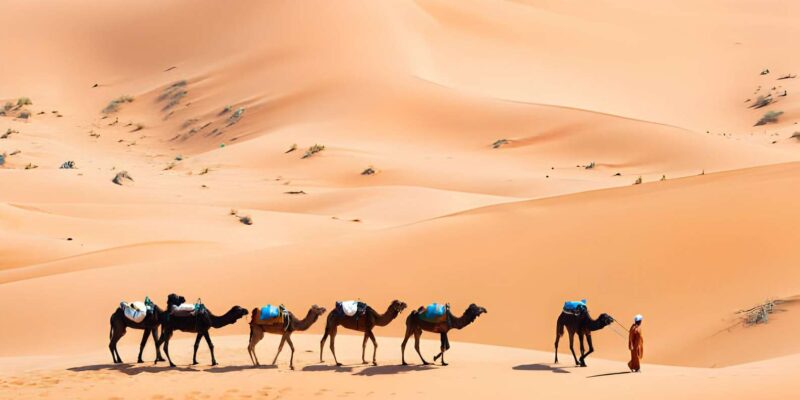 3-Days Morocco Desert Tour From Marrakech to Fez - Good To Know
