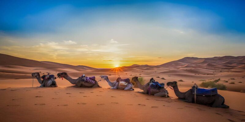 3-Days Morocco Desert Tour From Marrakech to Fez - Exploring Ait Ben Haddou