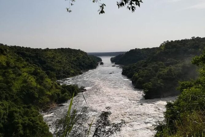 3 Days Murchison Falls National Park Safari & Rhino Tracking - Cultural Immersion Experiences