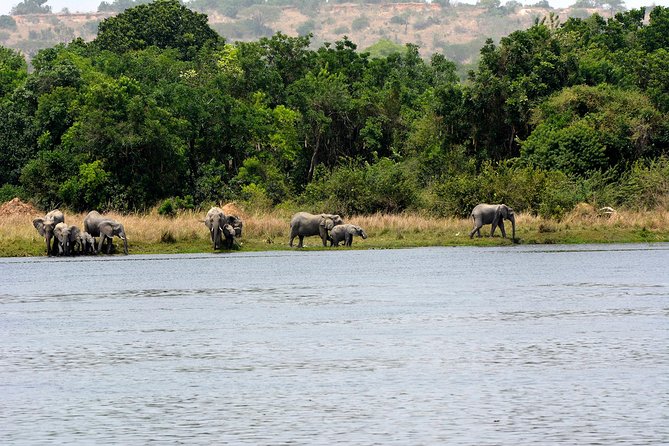 3 Days Murchison Falls Wildlife Safari - Pickup and Meeting Points
