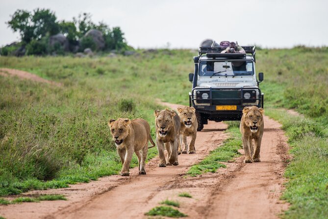 3 Days Ngorongoro & Serengeti Fly in Safari - Pickup and Schedule