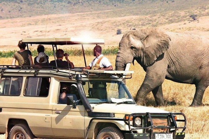 3 Days of Camping Bliss in Serengeti and Ngorongoro Crater - Camping Under the Stars