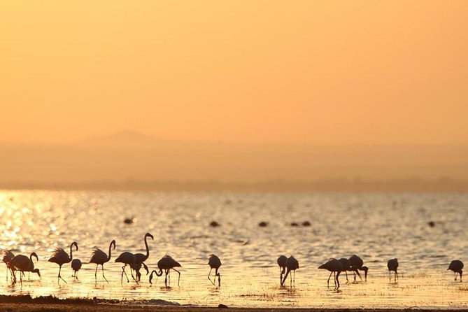 3 Days of Camping Bliss in Serengeti and Ngorongoro Crater - Delicious Meals and Refreshments