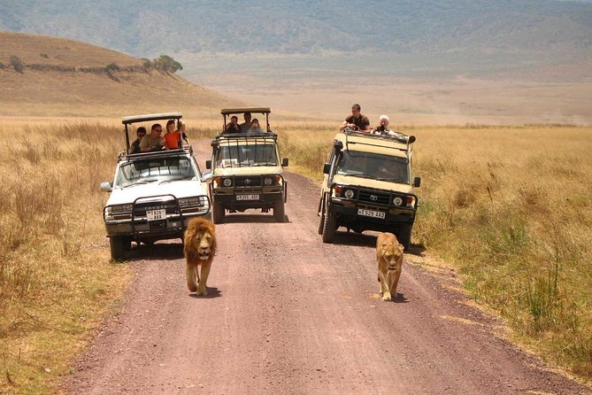 3 Days of Camping Bliss in Serengeti and Ngorongoro Crater - Memorable Experiences and Lasting Impressions