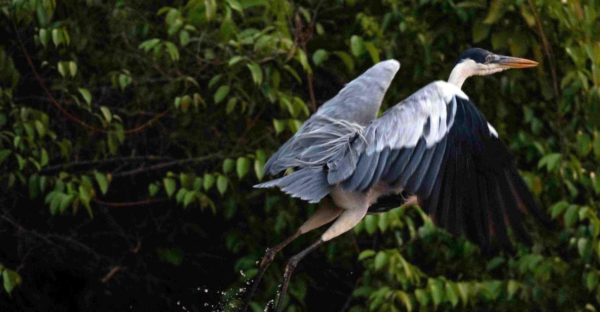 3 Days - Premium Tambopata Jungle Tour - Key Points