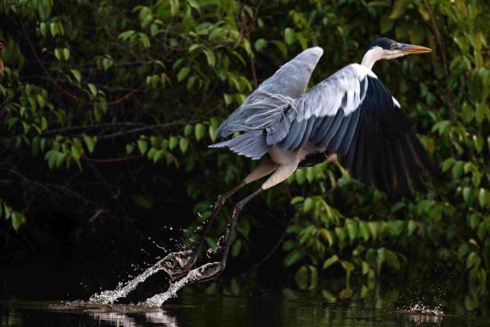 3 Days - Premium Tambopata Jungle Tour - Itinerary Highlights