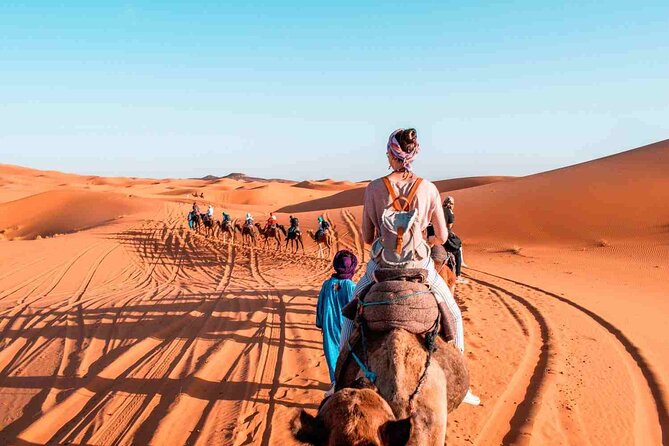 3 Days Private Fes Desert Tours - Customer Reviews and Ratings