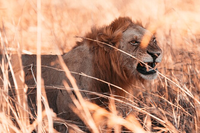 3 Days Private Mikumi National Park Wildlife Encounter Safari Tour - Pricing and Cancellation Policy