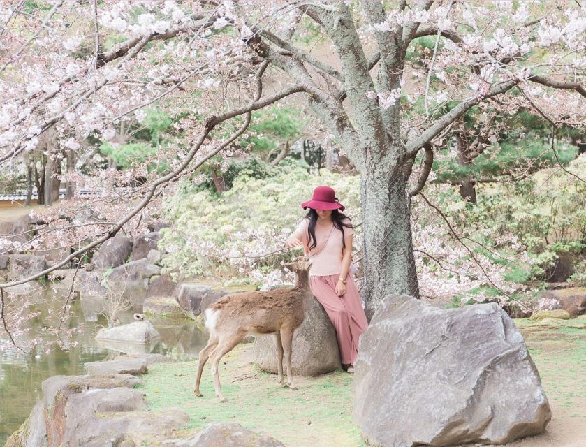 3 Days Private Osaka Kyoto and Nara Tour With English Driver - Osaka Private Tour
