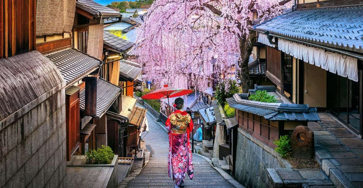3 Days Private Osaka Kyoto and Nara Tour With English Driver - Nara Private Tour