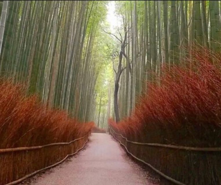 3 Days Private Osaka Kyoto and Nara Tour With English Driver - Kyoto Private Tour
