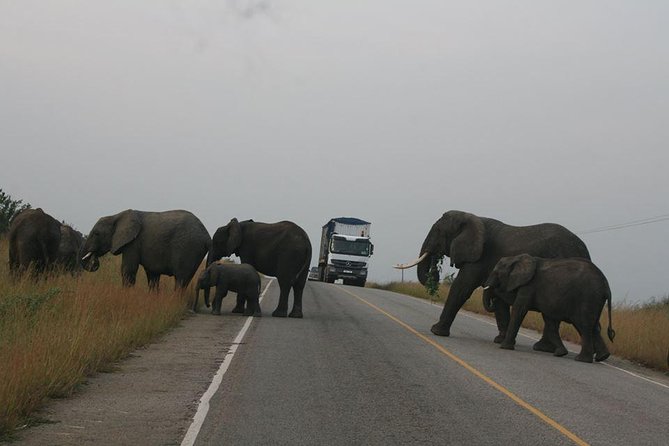 3 Days Queen Elizabeth National Park Uganda Safari - Transportation Options