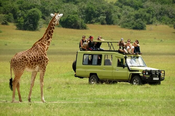3 Days Safari Ngorongoro Crater and Serengeti National Park - Booking and Cancellation Policy