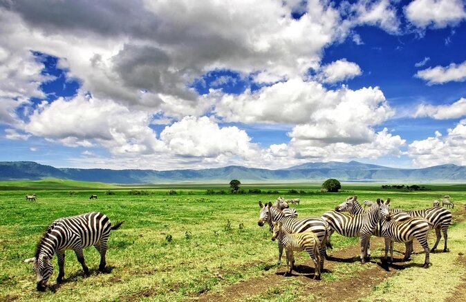 3 Days Safari to Serengeti National Park & Ngorongoro Crater in Tanzania - Good To Know